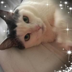 Meet your Posher, Jeanie